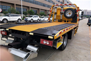 蒸湘区24小时汽车送油服务公司